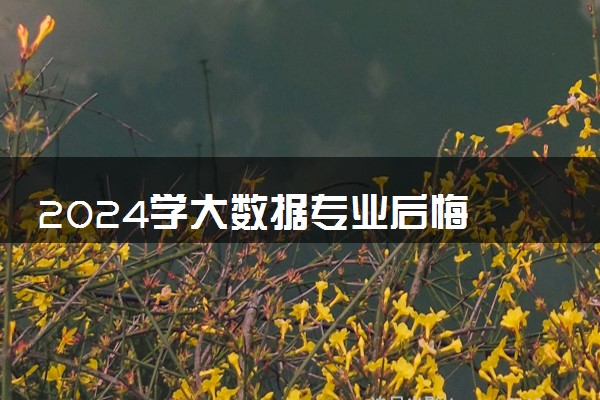 2024学大数据专业后悔 大数据专业就业前景好不好