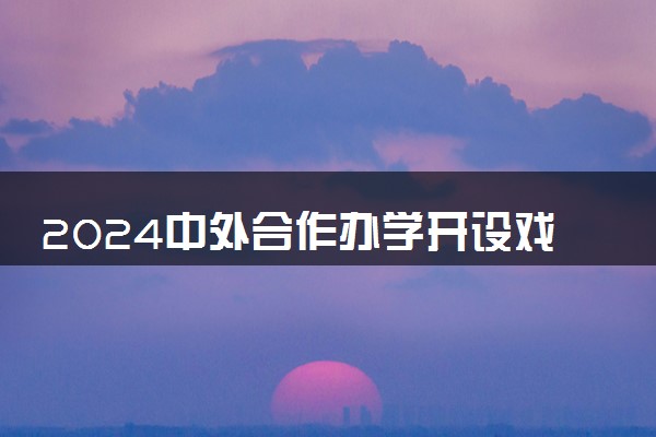 2024中外合作办学开设戏剧影视美术设计专业的学校有什么