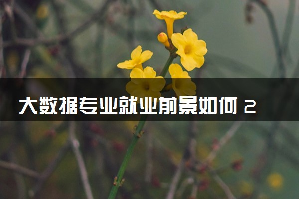 大数据专业就业前景如何 2024好就业吗