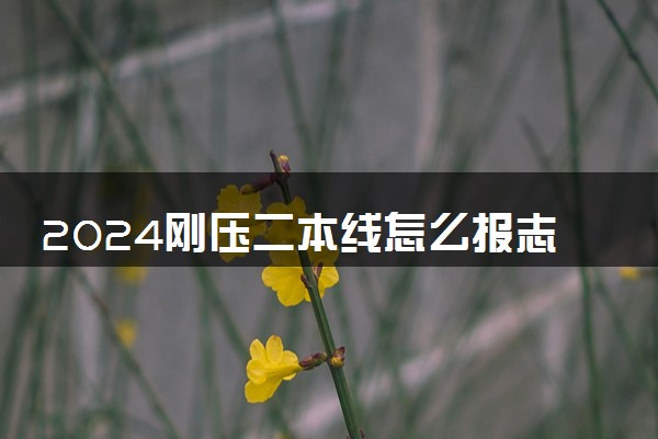 2024刚压二本线怎么报志愿 有什么填报技巧