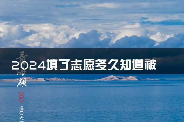 2024填了志愿多久知道被录取 录取结果怎么查