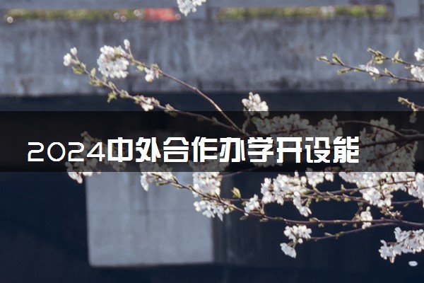 2024中外合作办学开设能源与动力工程专业的学校名单