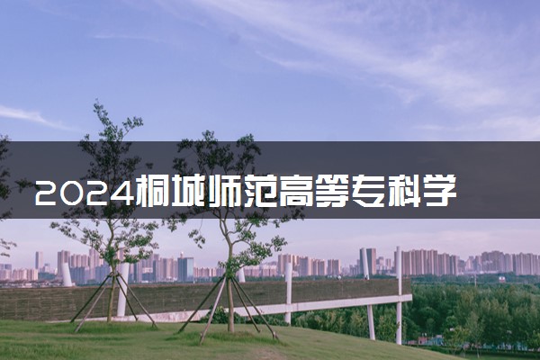 2024桐城师范高等专科学校艺术类专业学费多少钱一年 各专业收费标准