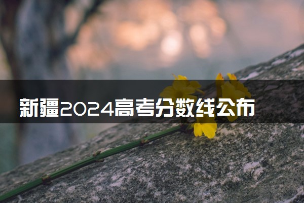 新疆2024高考分数线公布 专科最低录取控制线