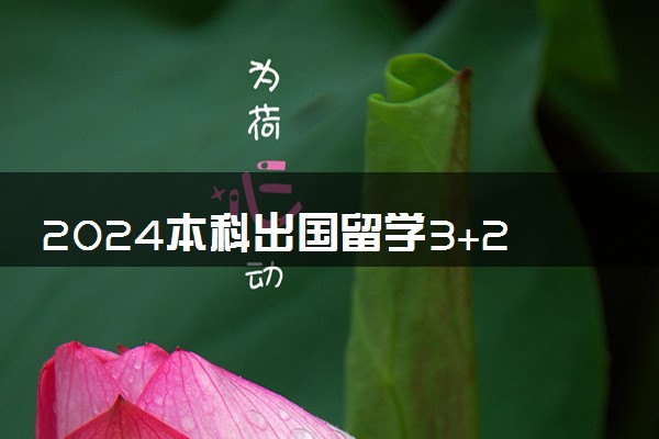 2024本科出国留学3+2需要多少钱 费用一览