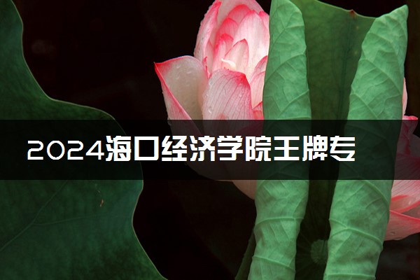 2024海口经济学院王牌专业有哪些 最好的专业是什么