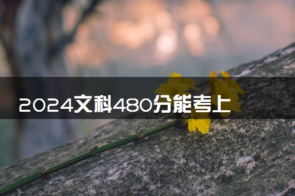 2024文科480分能考上什么大学 哪些值得报