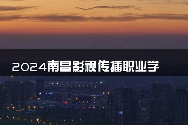 2024南昌影视传播职业学院中外合作办学专业学费多少钱