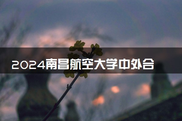 2024南昌航空大学中外合作办学专业学费多少钱