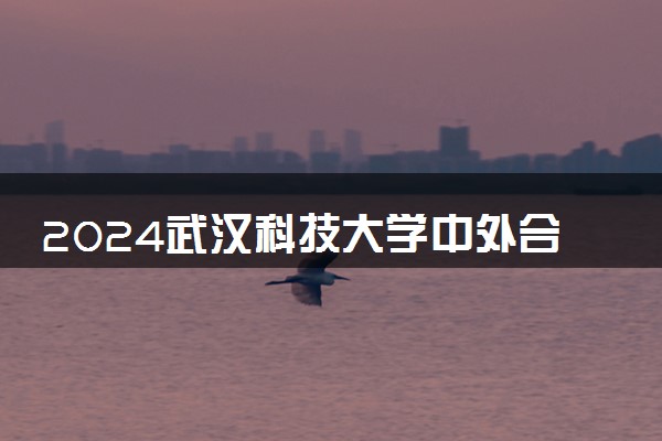 2024武汉科技大学中外合作办学专业及课程