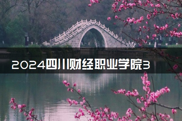 2024四川财经职业学院3+1中外合作办学专业及课程