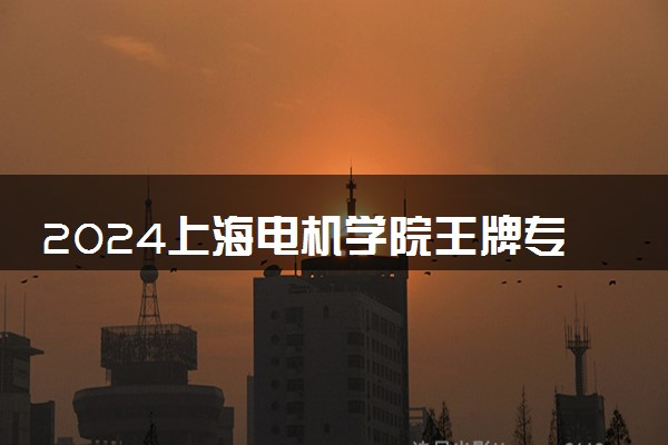 2024上海电机学院王牌专业有哪些 最好的专业是什么
