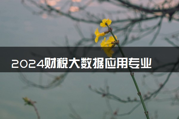 2024财税大数据应用专业是文科还是理科 就业前景及方向