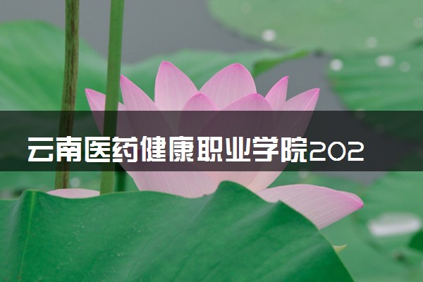 云南医药健康职业学院2024年学费多少钱 一年各专业收费标准