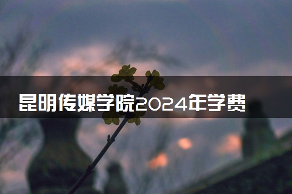 昆明传媒学院2024年学费多少钱 一年各专业收费标准