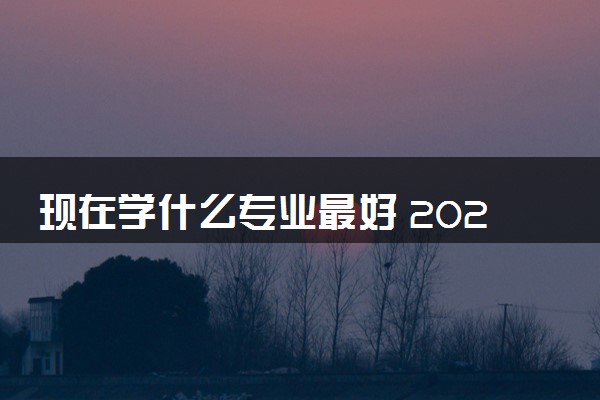 现在学什么专业最好 2024文科生学什么好就业