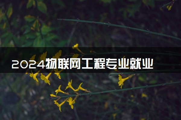 2024物联网工程专业就业方向 就业前景好吗