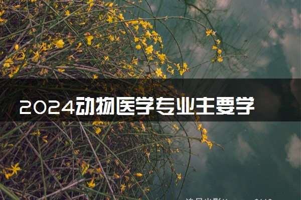2024动物医学专业主要学什么课程 就业前景及方向有哪些