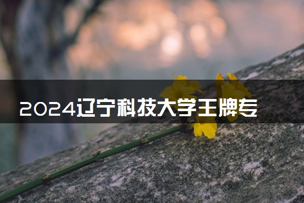 2024辽宁科技大学王牌专业有哪些 最好的专业是什么