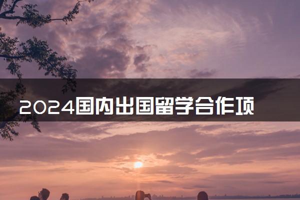 2024国内出国留学合作项目费用盘点
