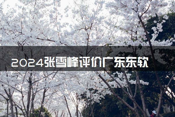 2024张雪峰评价广东东软学院怎么样 什么档次多少分能上