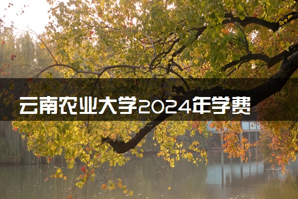 云南农业大学2024年学费多少钱 一年各专业收费标准