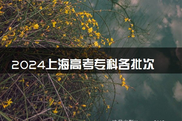 2024上海高考专科各批次录取最低控制分数线