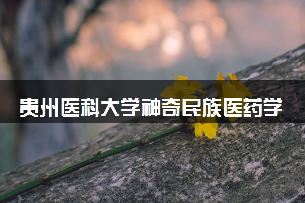 贵州医科大学神奇民族医药学院2024年学费多少钱 一年各专业收费标准