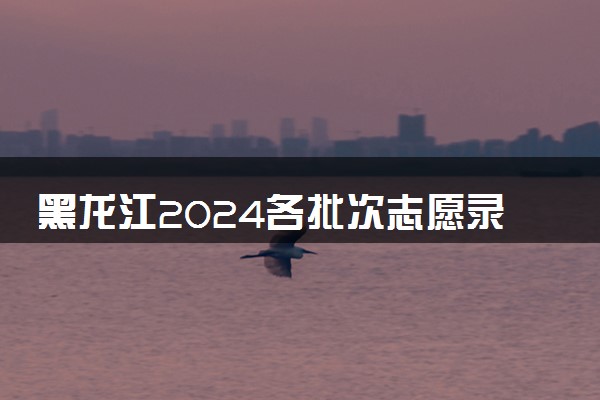 黑龙江2024各批次志愿录取时间 几号报志愿