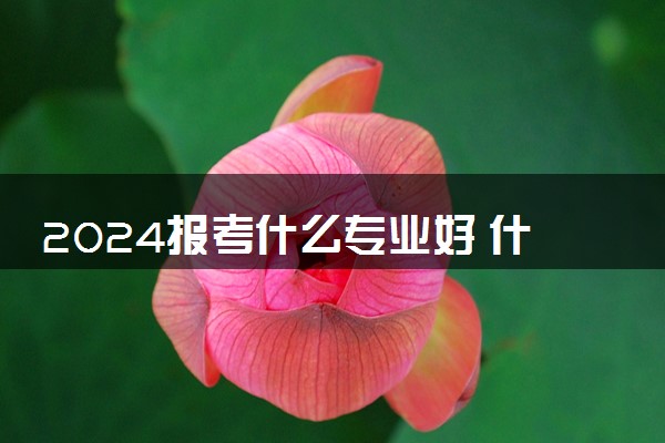 2024报考什么专业好 什么专业最有前途