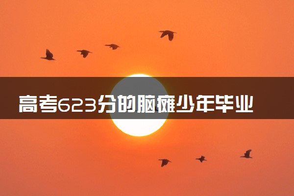 高考623分的脑瘫少年毕业了 具体怎么回事