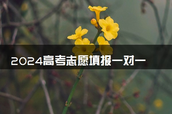 2024高考志愿填报一对一服务平台有哪些 哪个靠谱