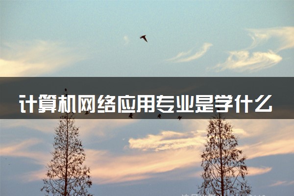 计算机网络应用专业是学什么的 2024就业方向