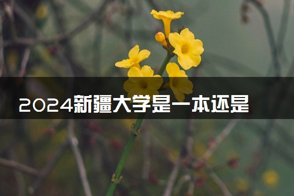 2024新疆大学是一本还是二本 含金量高吗