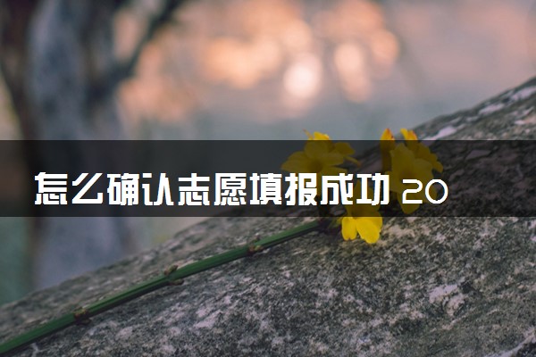 怎么确认志愿填报成功 2024如何查看