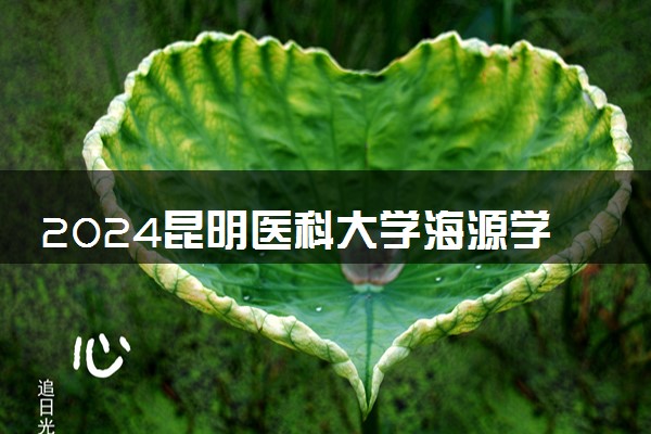 2024昆明医科大学海源学院是一本还是二本 含金量高吗