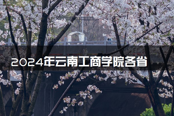 2024年云南工商学院各省招生计划及招生人数 都招什么专业