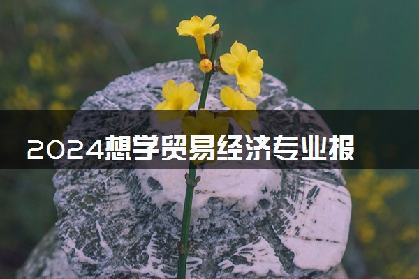 2024想学贸易经济专业报什么学校 哪个大学好