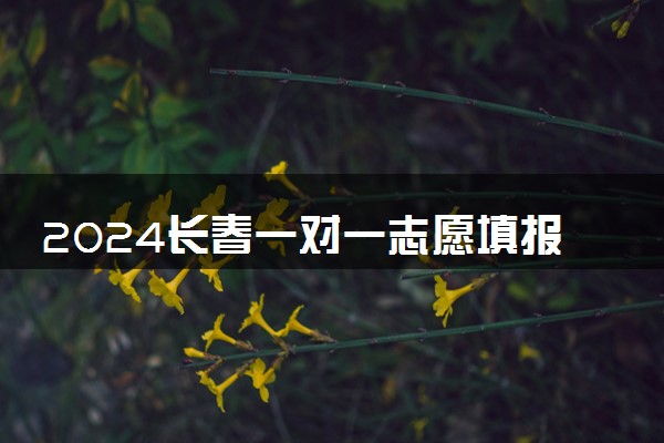 2024长春一对一志愿填报收费标准 贵不贵