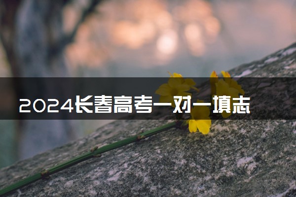 2024长春高考一对一填志愿价格 哪个平台便宜靠谱