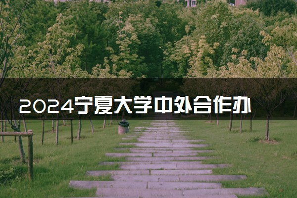 2024宁夏大学中外合作办学啥意思 有什么专业
