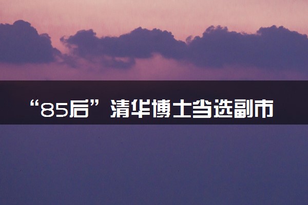 “85后”清华博士当选副市长 此前就任县委书记