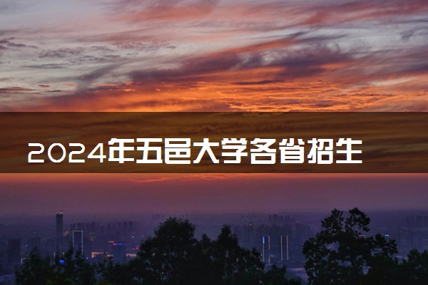 2024年五邑大学各省招生计划及招生人数 都招什么专业
