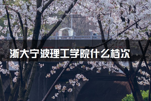 浙大宁波理工学院什么档次 很厉害吗