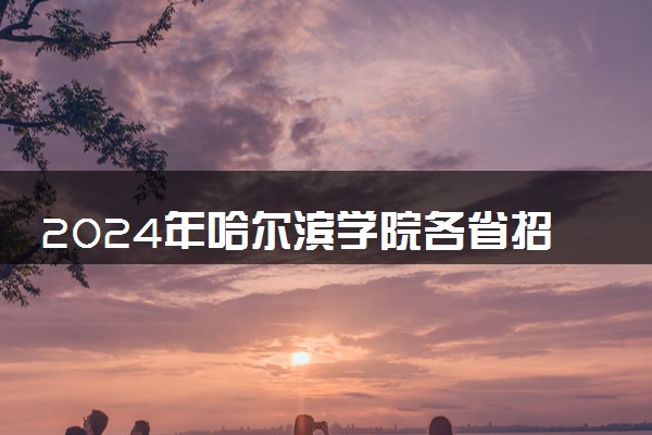 2024年哈尔滨学院各省招生计划及招生人数 都招什么专业