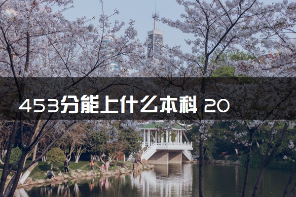 453分能上什么本科 2024什么学校好