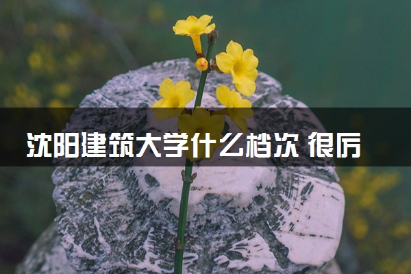 沈阳建筑大学什么档次 很厉害吗