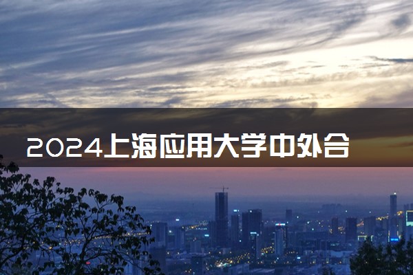 2024上海应用大学中外合作办学好就业吗 学费多少