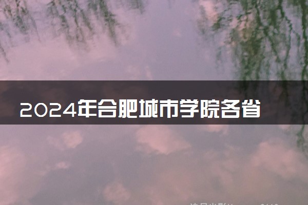 2024年合肥城市学院各省招生计划及招生人数 都招什么专业