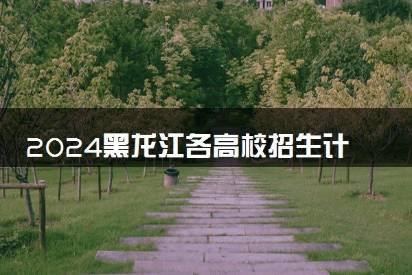 2024黑龙江各高校招生计划专业及录取分数线